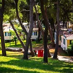 Arena Stoja Homes