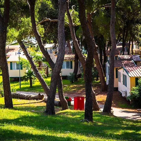 Arena Stoja Homes