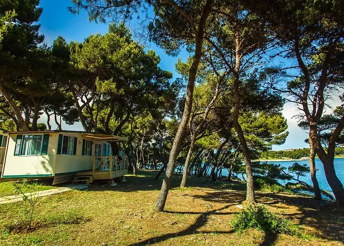 Arena Stoja Homes Prázdninový areál