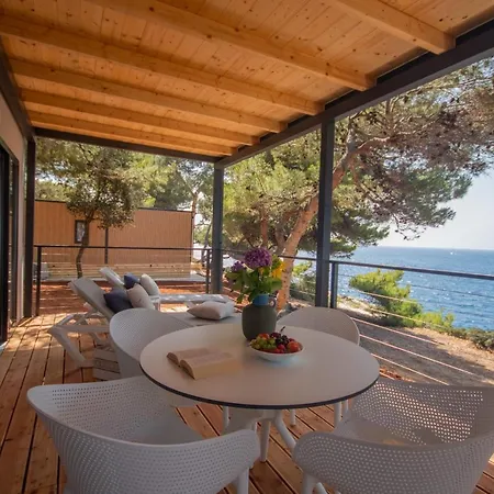Arena Stoja Homes