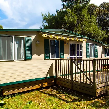 Arena Stoja Homes 풀라