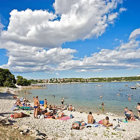 Arena Stoja Homes 풀라