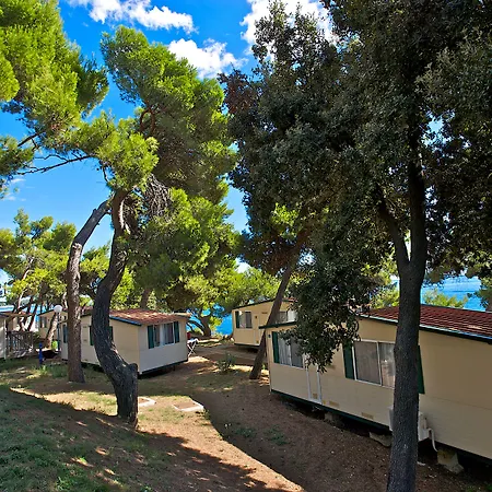 Arena Stoja Homes 풀라