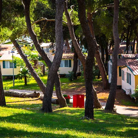 Arena Stoja Homes 풀라