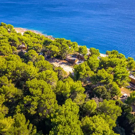 Arena Stoja Homes Kompleks wypoczynkowy 4*