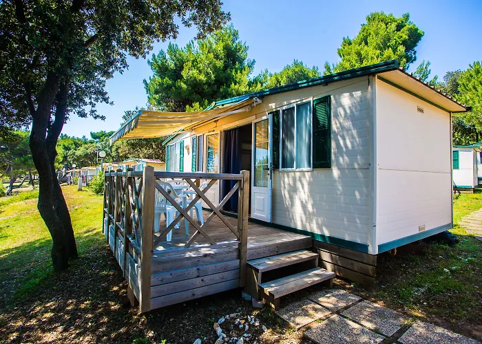 Arena Stoja Homes Kompleks wypoczynkowy 4*