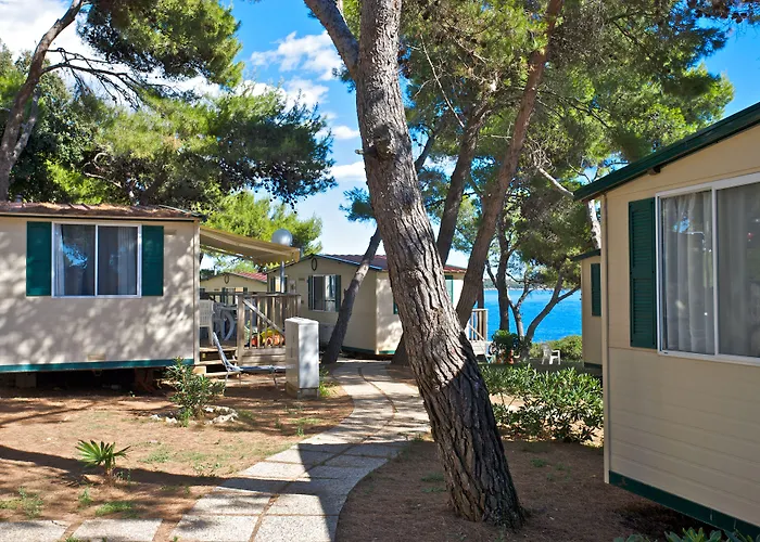 Arena Stoja Homes Kompleks wypoczynkowy 4*